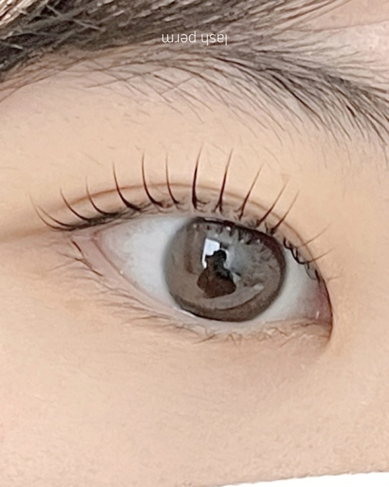 속눈썹펌 컬 디테일